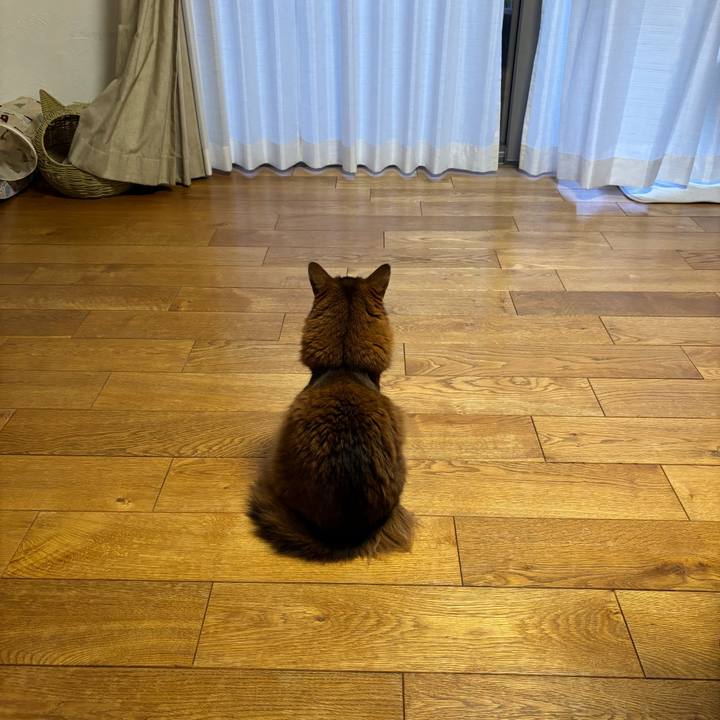 Bdcc4657 8d17 4ad5 ac3d bf5b62fb6156 1750208728101