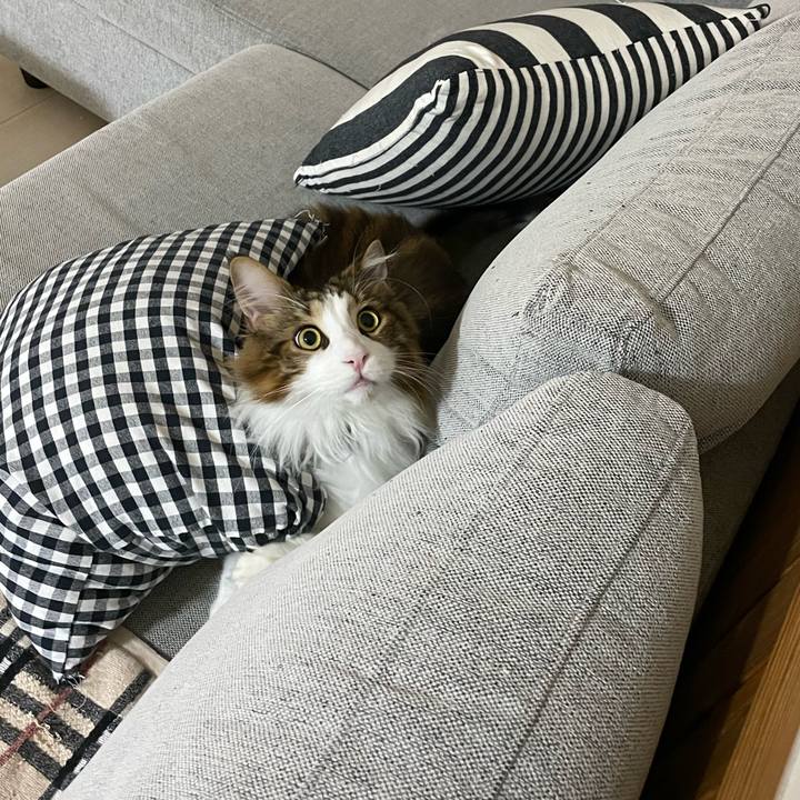 Bdcc4df1 b4ec 469f 9ec1 8c9f54b61c3c 1665172943431