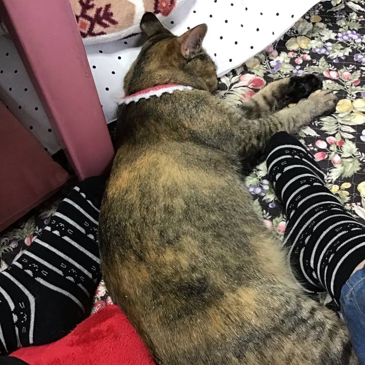 Bdcc4f2c 470d 4d51 b1e2 8490caeb5d59 1593210714275