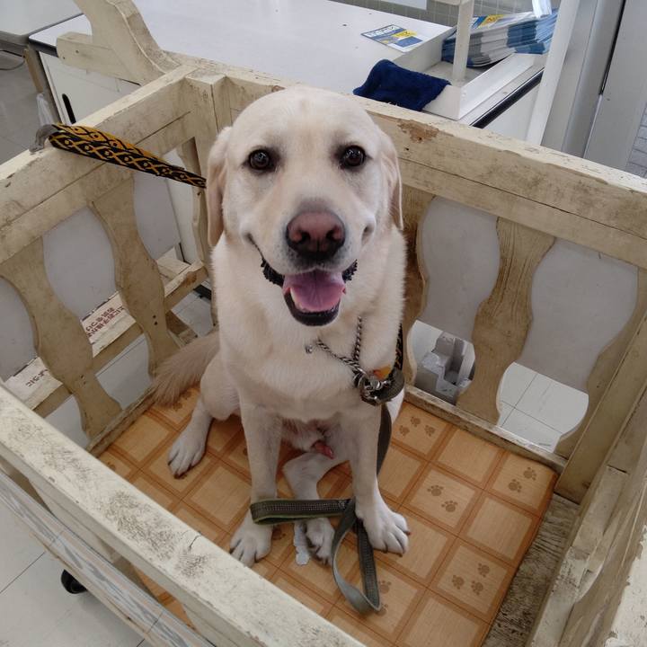 Bdccc8d3 336c 41e0 a7e8 da49f55840bc 1596882171183