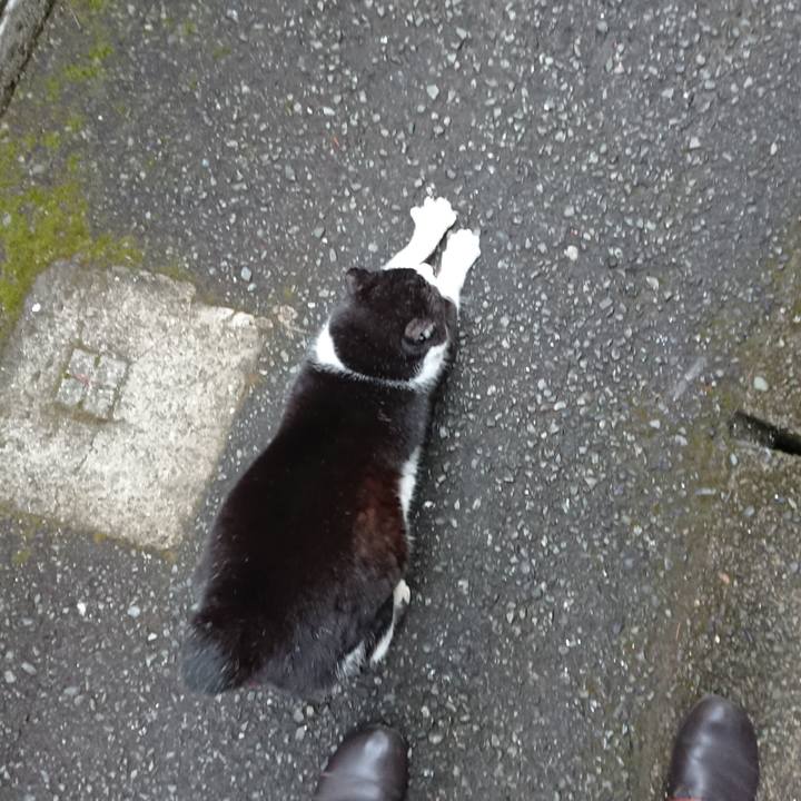 Bdcccf41 efdd 43af a81b 451e6f2bde03 1646725165788