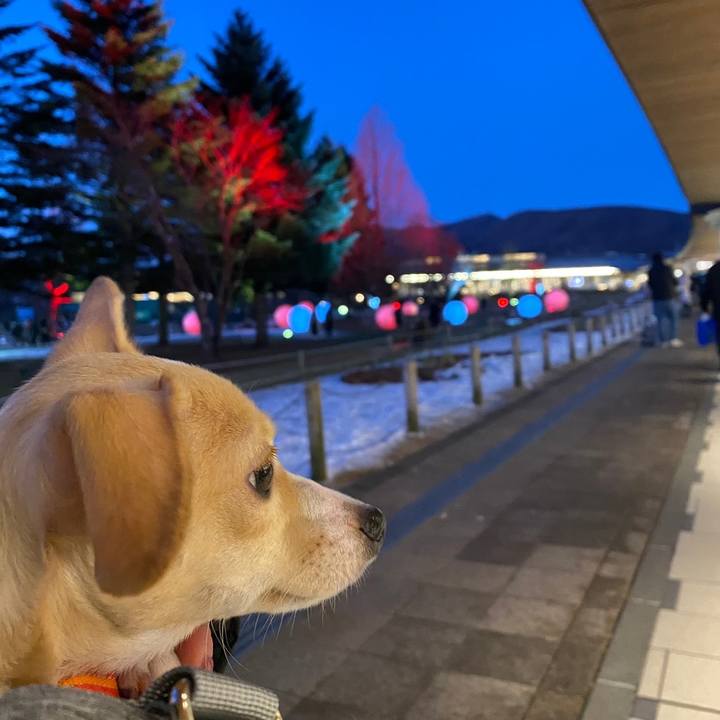 Bdccd7d2 aad3 488e bde7 65d1080aa0e7 1672656150996