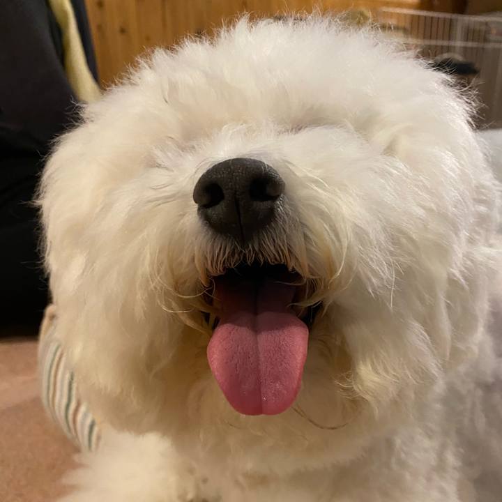 Bdcd182b 6aff 4e57 bad9 93d1988de4b6 1629343213811