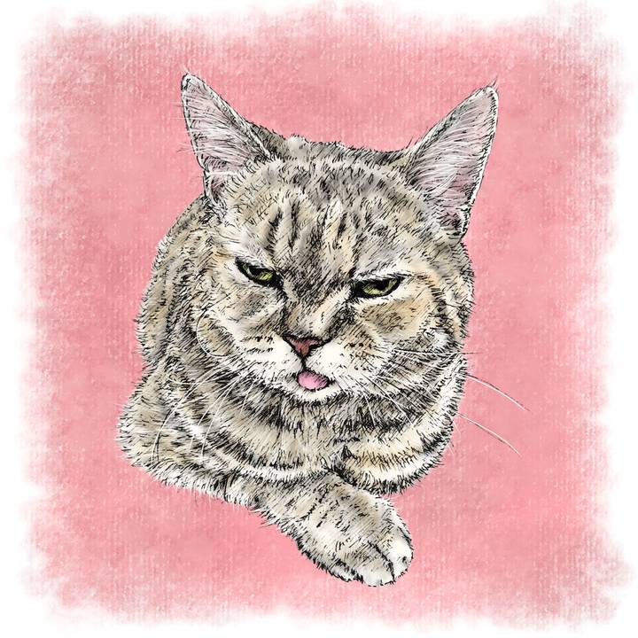 Bdcd6abf c214 440b 8999 0816d65d8d09 1609686258156