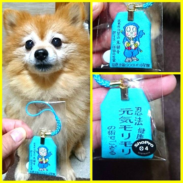 Bdcd764b 131a 4d10 b3d2 ecd4c5f0e871 1510007339731