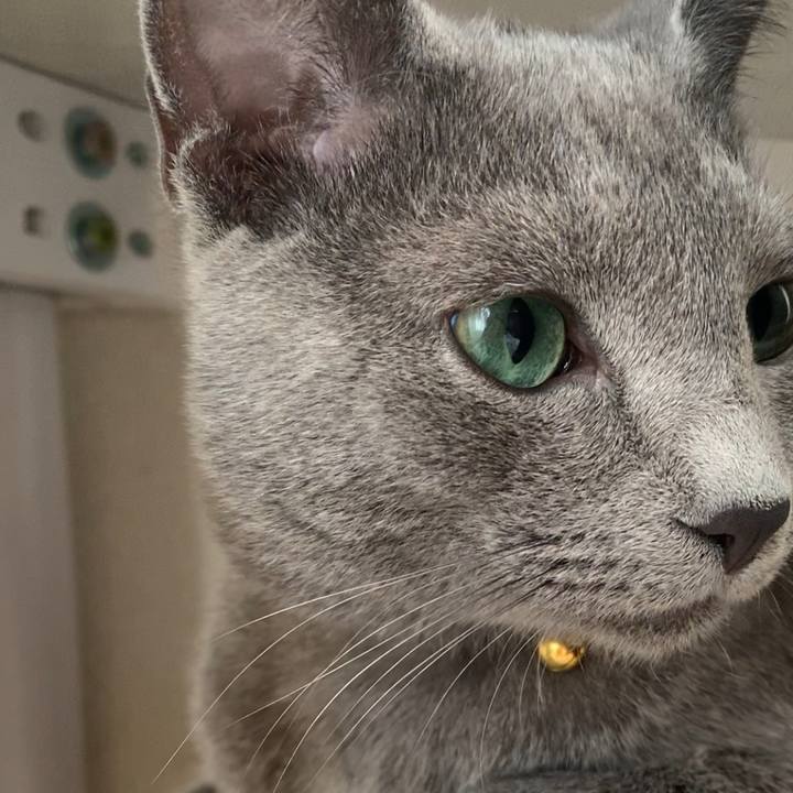 Bdcd8237 fa2f 464b bbce b7d31d9ba8bc 1575187946896