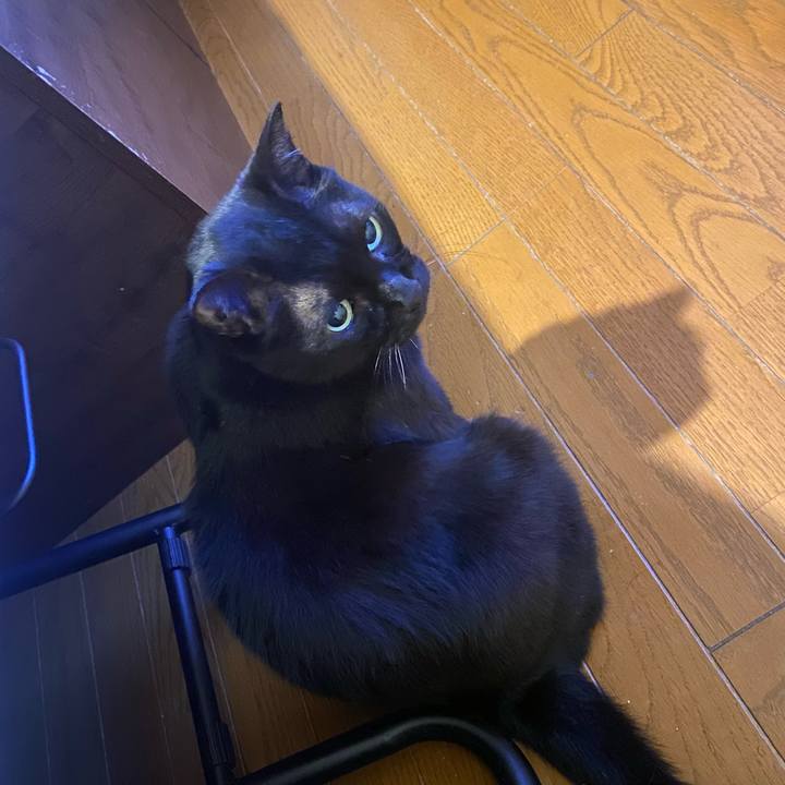 Bdcda92c e140 41d9 8448 d32d6fa485db 1731765447978