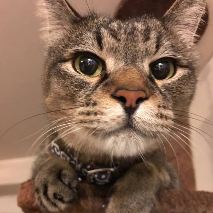 Bdcdb95e 8964 46c3 9b61 811681ab7ae0 1557322159629