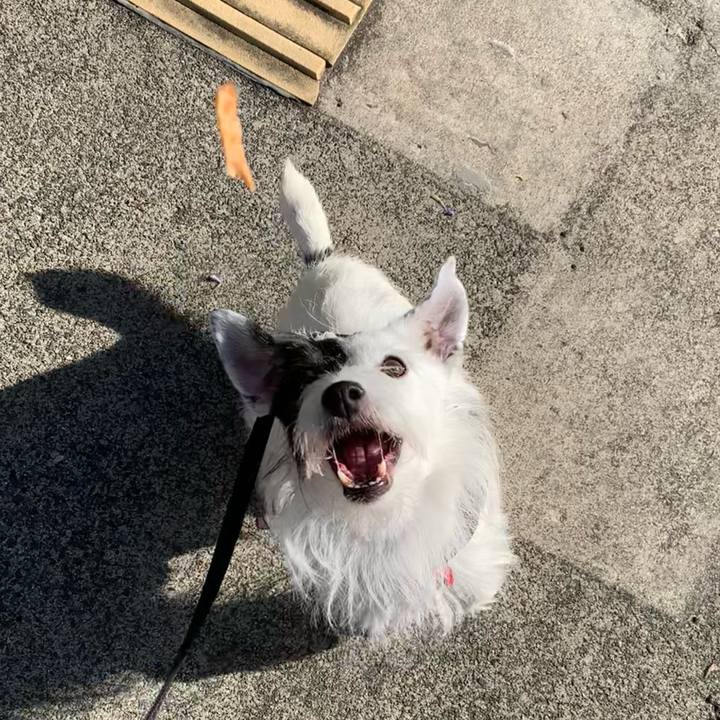 Bdcde918 7299 44da a94a 71519ad979d6 1696547685079