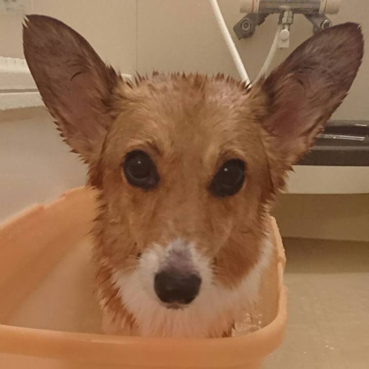 Bdce14cc a484 45b9 8ee1 033603551b16 1538130827713