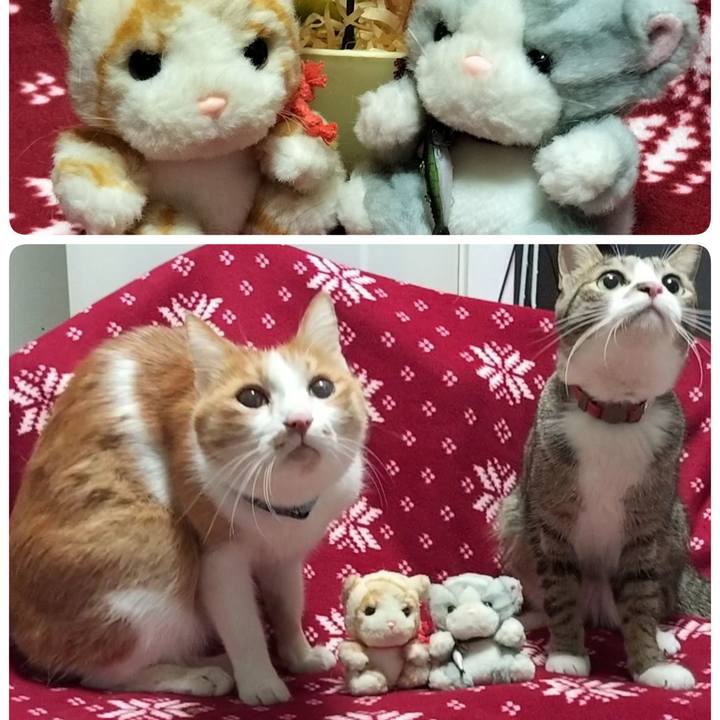 Bdce2023 dddd 4417 b1a0 266f55fdfb84 1709455809743