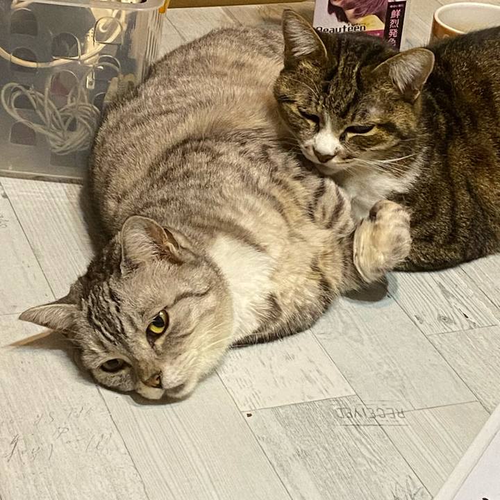 Bdce28f8 258d 4a37 a871 62065b10d0d6 1671271767198