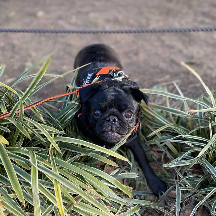 Bdce60fd 95a5 4089 bdec cfa3099a7eab 1615415383408