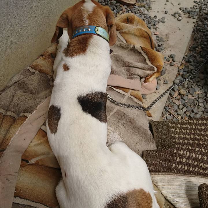 Bdce6b88 5759 4713 a396 feef572daef6 1560178632697