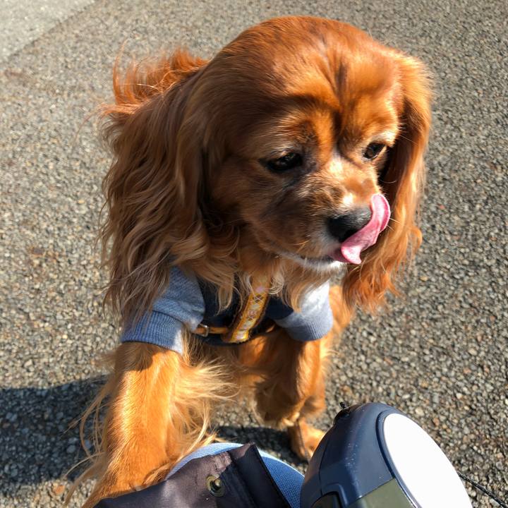 Bdceb20e 12aa 49d0 a407 5ef2880b75de 1645922023764