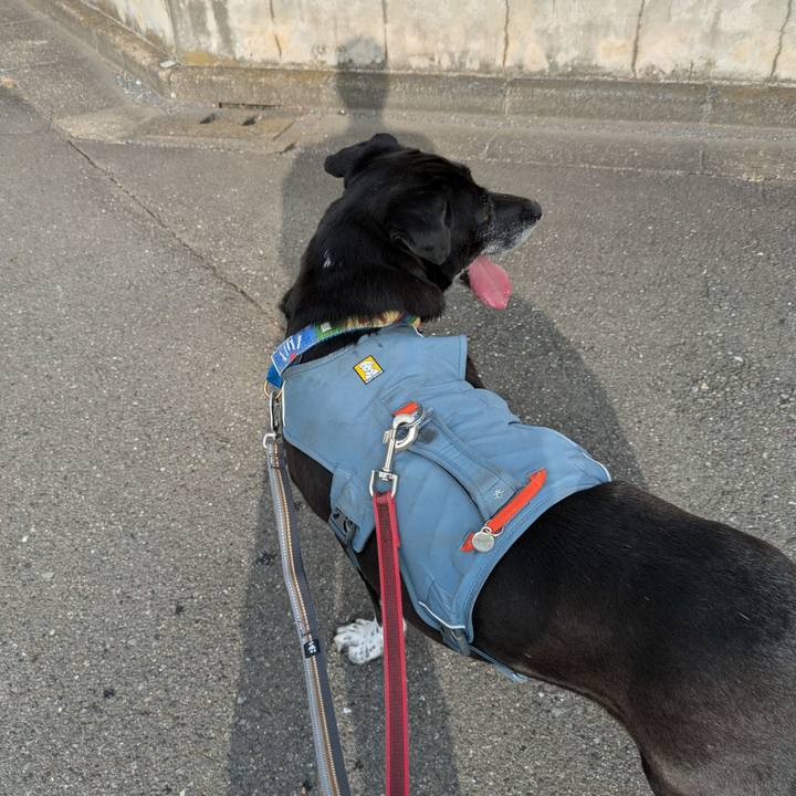 Bdcf7aa4 c4eb 4cf4 8c57 02fb3095d4a5 1723978169732