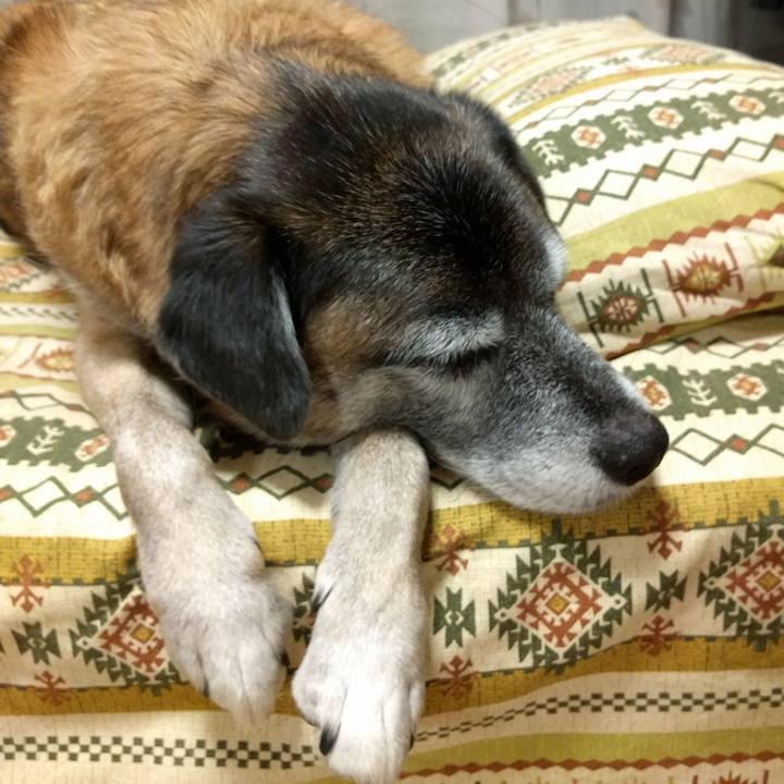 Bdcfe900 da8c 4e9b 8b80 0b78afef8d54 1539217789860