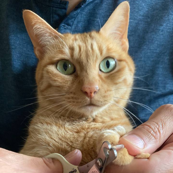 Bdd01c4d 4d5d 4b22 87b1 773d29a9b8f2 1651190399404