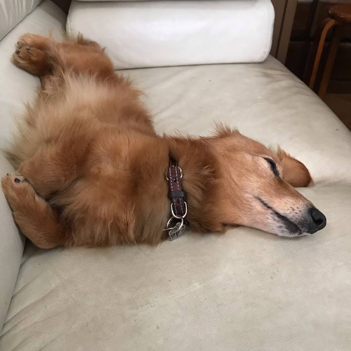 Bdd04e16 b13f 4ac4 a78d 4d3eb310df97 1589601455921