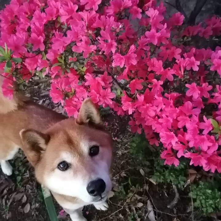 Bdd07b52 bee1 4e3f a0a2 7b443fc78837 1681641306658