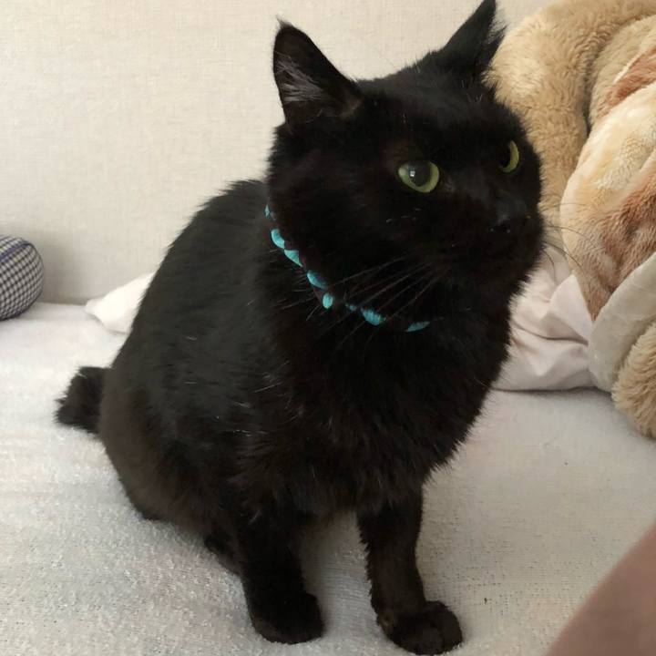 Bdd0ae5c 9909 4c54 bf7d 15c4c32c53dd 1613025772813