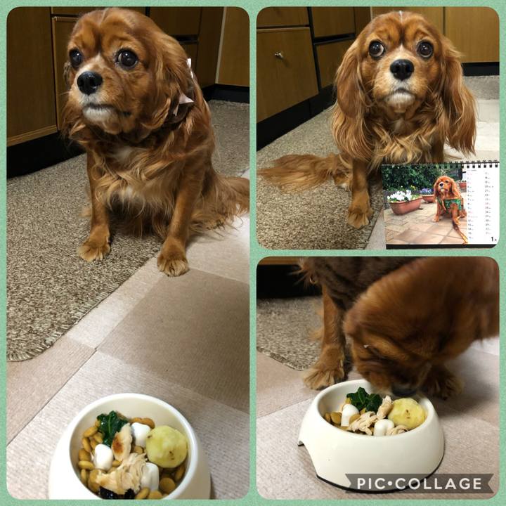 Bdd0c4f4 685b 4768 9ba2 50ae257eedb9 1609499896850