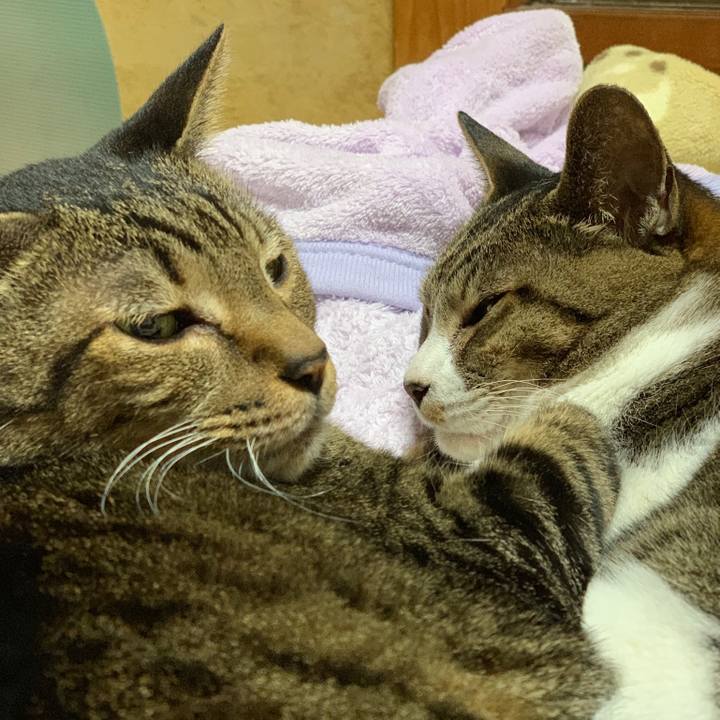 Bdd0cccc de3e 41b8 b55b 75cb37939f10 1544143774943