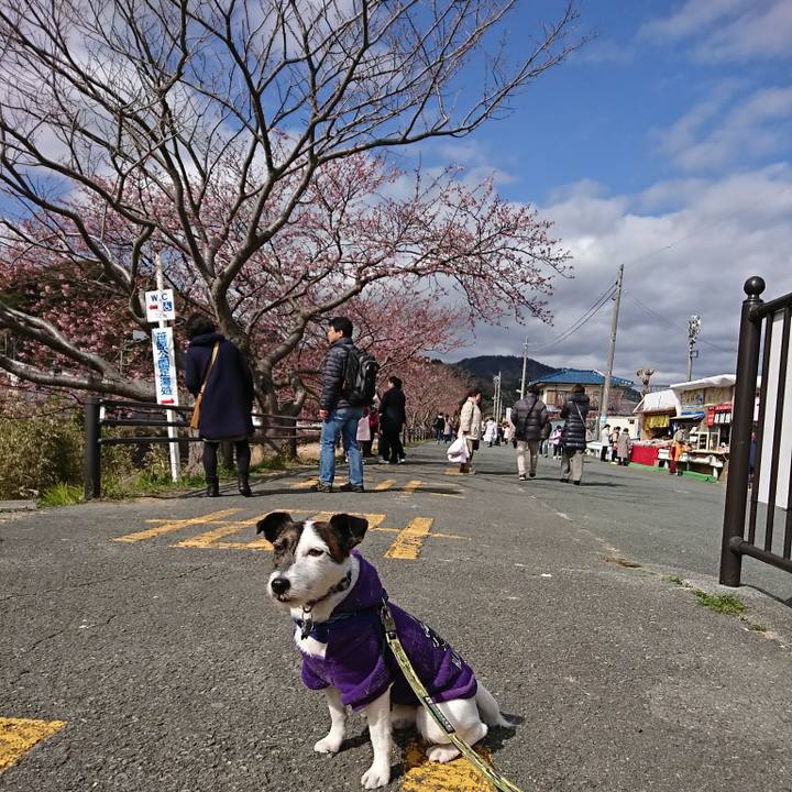 Bdd0eea1 9b8d 4136 af3d 655154544b35 1518919024118