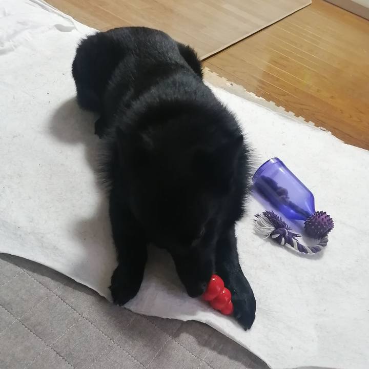 Bdd114f6 58a8 41f8 83d6 40f0ca3f3851 1620337291487