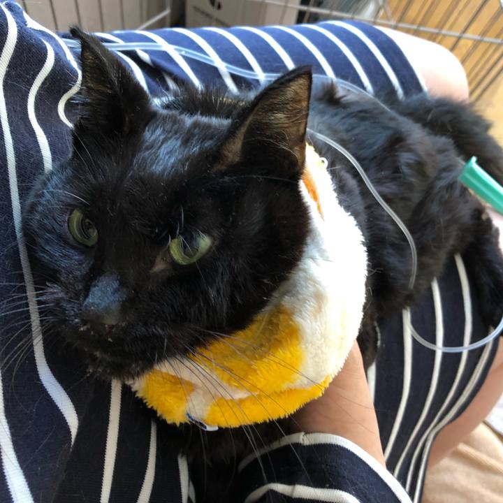 Bdd130c0 a2a5 4b52 b07f b111ae938588 1558141367473