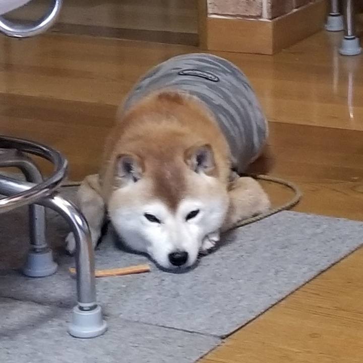 Bdd136f9 45df 4676 aa2f 8432b44d1e5d 1678664287636