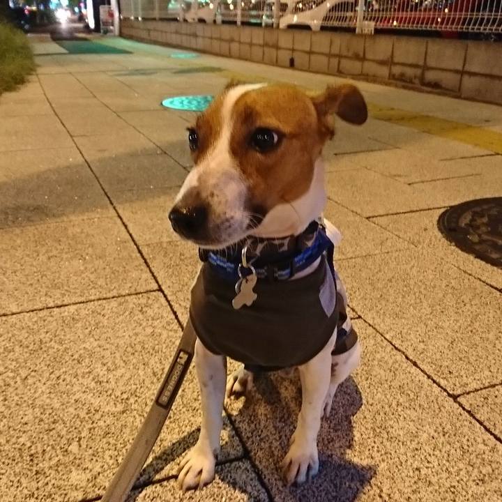 Bdd177fb 30a7 4fa6 88bd e19e0305ec2f 1536928319858