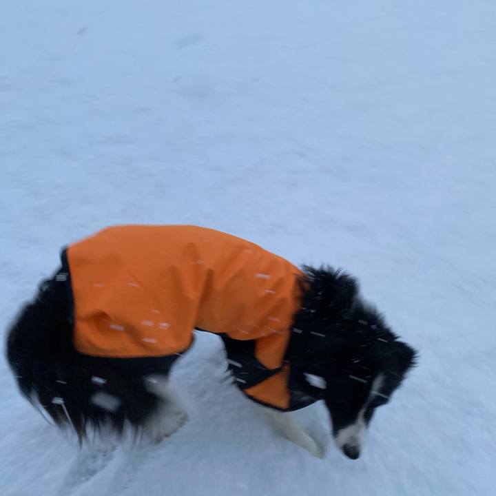 Bdd17a5e 3491 442d 9ff3 0c77e9f98384 1610062921285