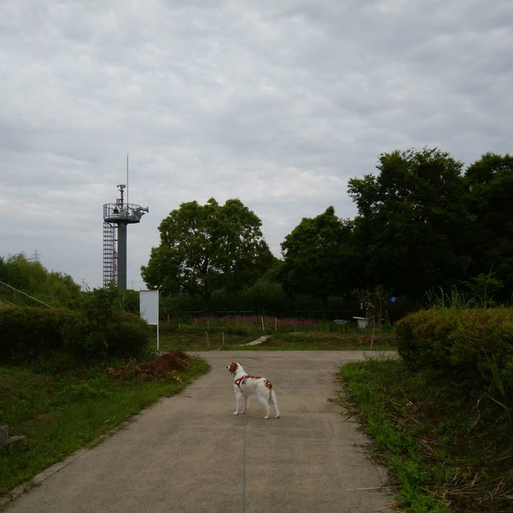 Bdd196e6 b5d3 4a1d 8b6d 3b7ceeca3eec 1527552079821