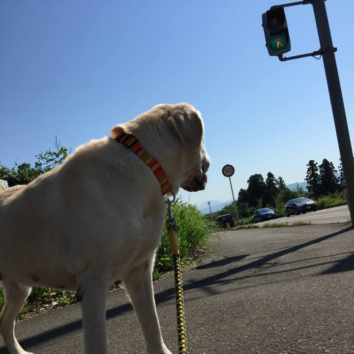 Bdd19781 f4ce 49fa aba3 a96eae425a6a 1526949663732