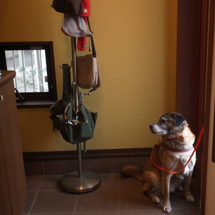 Bdd20ccd e3ac 4eab 87d0 6cec415c514a 1599004222125