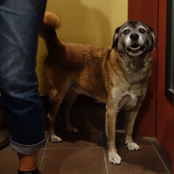 Bdd21657 eb0f 4f71 8b59 1285206270a0 1539255425367