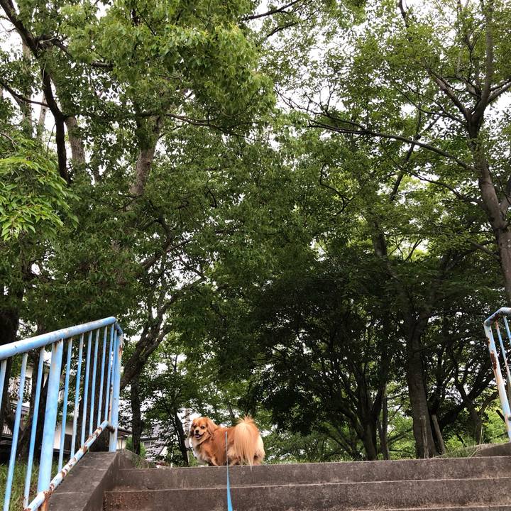 Bdd21756 4146 49da b0a8 bdb5c37b75a9 1559856490429