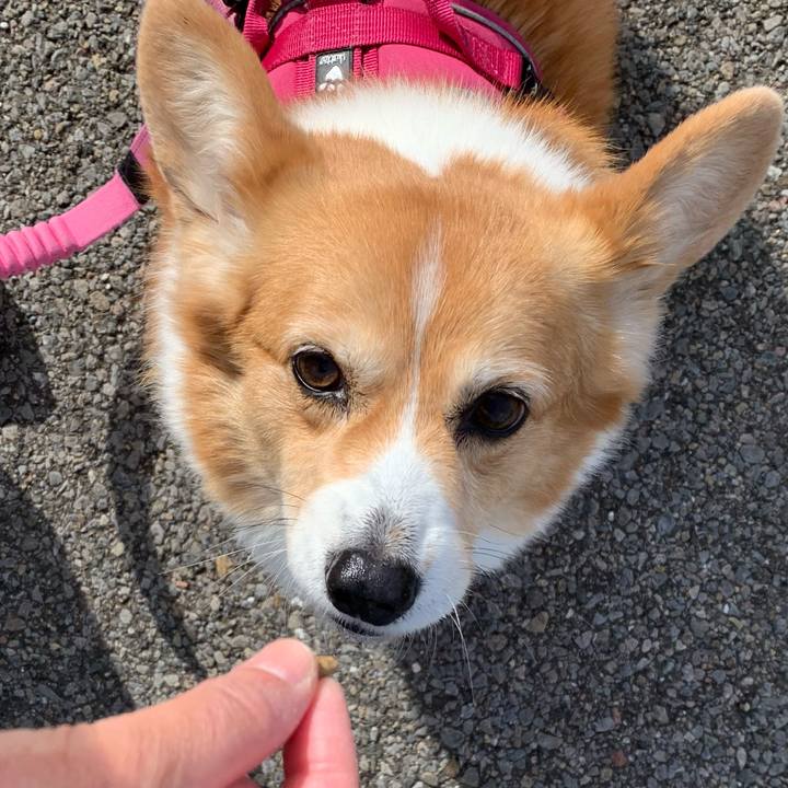 Bdd21b0a 5270 4809 8f9d a3607943b7a4 1702954748304