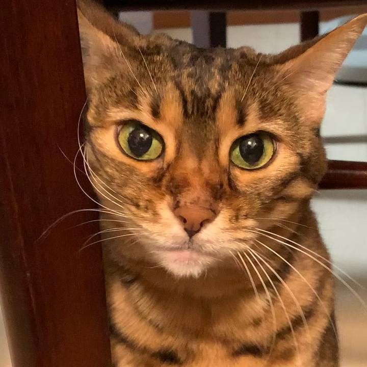 Bdd24867 6202 42e2 af94 246f591de948 1621733412501