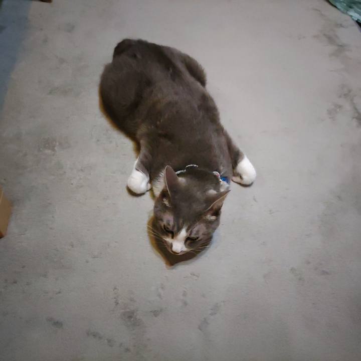 Bdd2599c 8918 4e54 9f58 788ca3482674 1689890283892