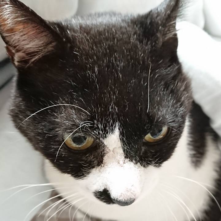 Bdd26943 3ecb 4774 b2fe d023750affe7 1634945804114