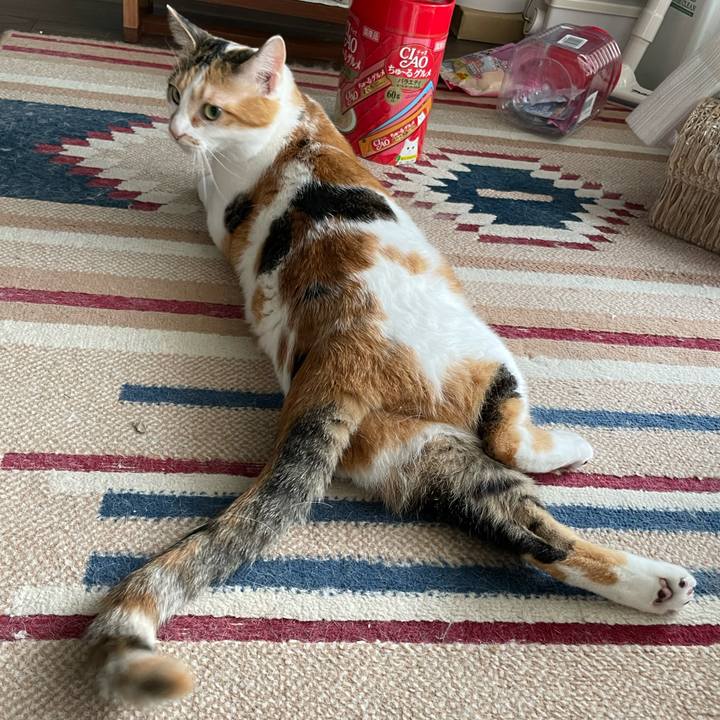 Bdd297a0 cb70 485c bc5d bcb054e53e6d 1657064129011