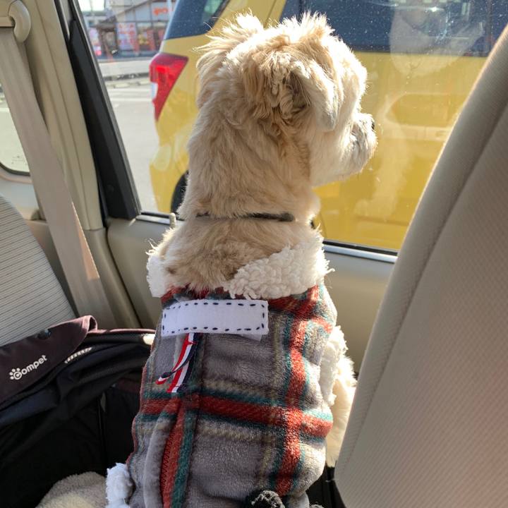 Bdd29ebc da88 490a 9716 f855c2412aec 1582093886580