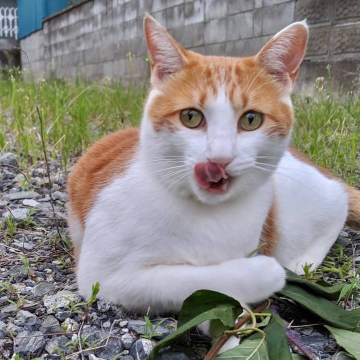 Bdd2d8eb 9db5 48a3 ab6d ed800b369eb0 1565837026206