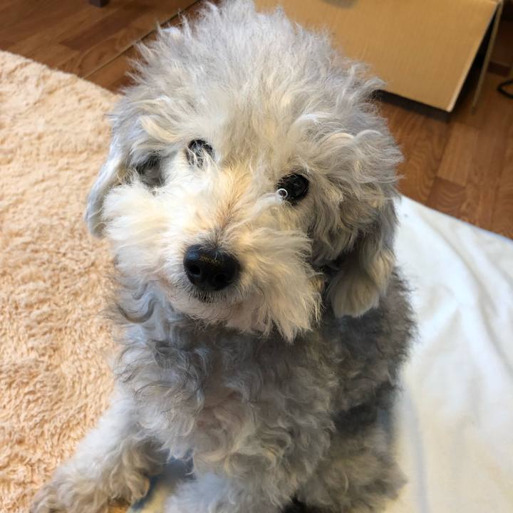 Bdd2f8d5 faeb 4bb9 b95a 5bd11488dc49 1542236763029