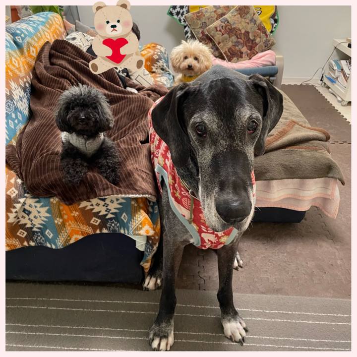 Bdd330a7 d31e 4095 a45f df59d682bed9 1640730685113