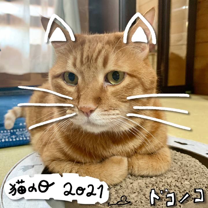 Bdd3362b d66f 48f6 8d05 b177cf95f9fb 1613960245295