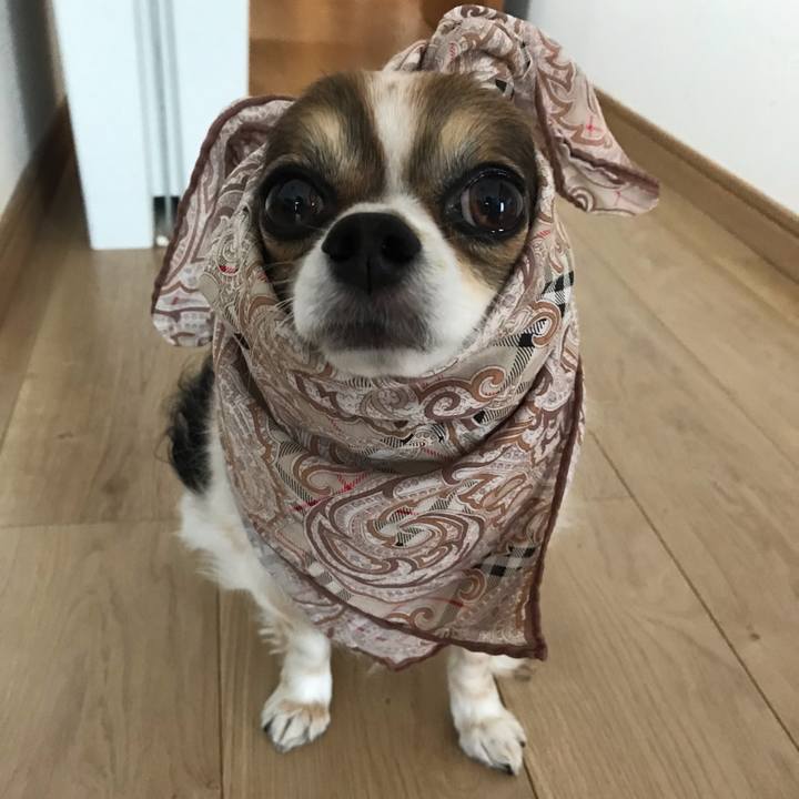 Bdd34142 5693 4511 a951 e1bd97bec21a 1560040970987