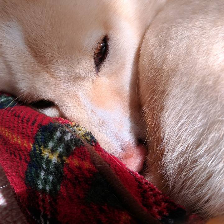 Bdd36e3b 955f 457e afa9 25ae62ba1afd 1518056025170